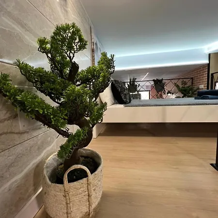 Carcaixent 24 公寓式酒店 瓦伦西亚